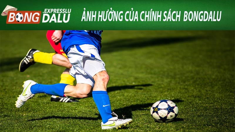 ảnh hưởng của chính sách  bongdalu