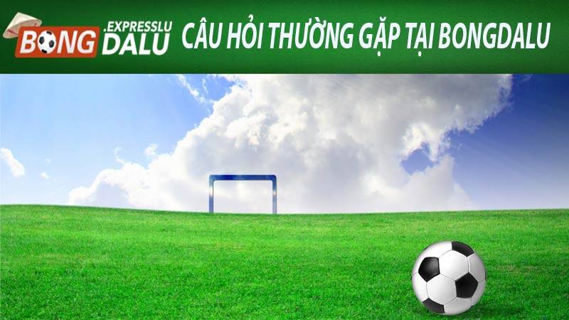 Tổng hợp câu hỏi thường gặp Bongdalu