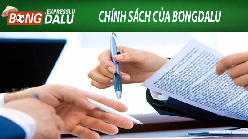 Chính sách của Bongdalu