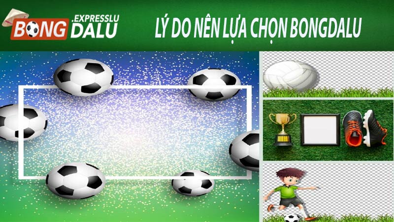 lý do nên lựa chọn bongdalu