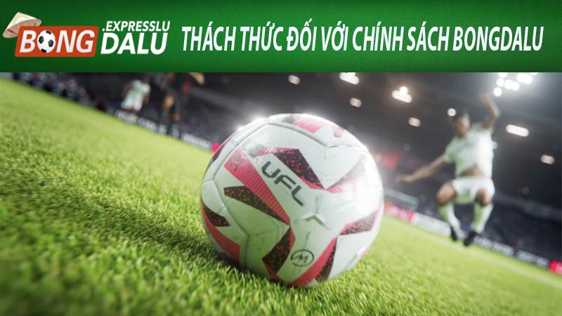 Những thách thức đối với chính sách của Bongdalu