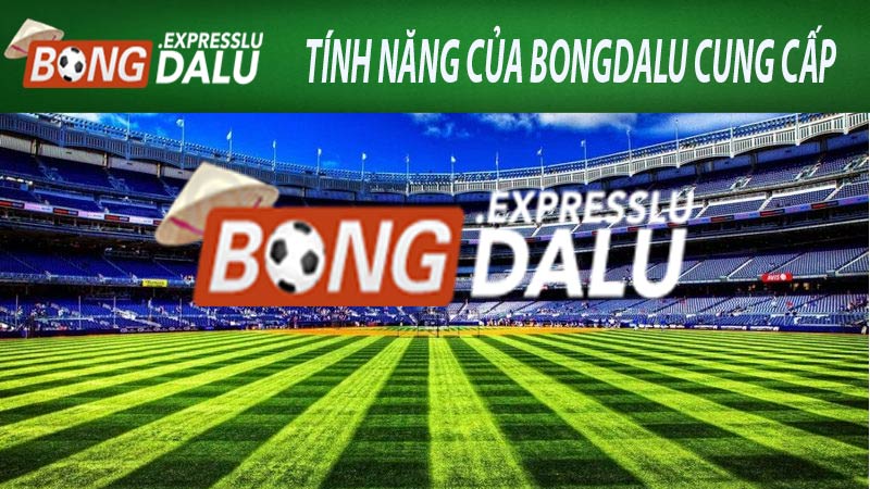 Các tính năng mà Bongdalu cung cấp