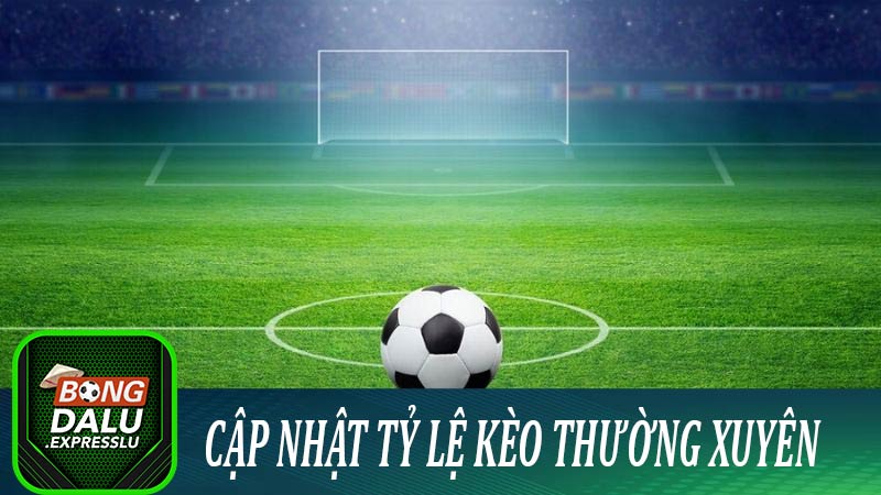 Tham khảo và cập nhật tỷ lệ kèo thường xuyên