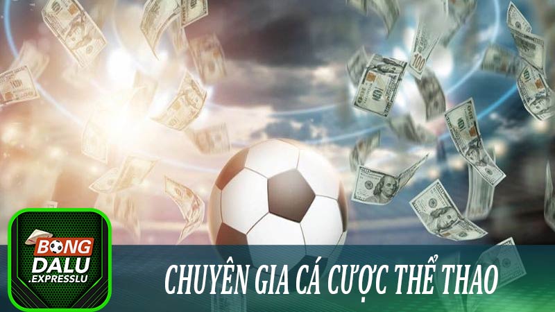 Tham khảo ý kiến của chuyên gia