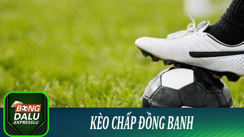 Tổng quan về kèo chấp đồng banh