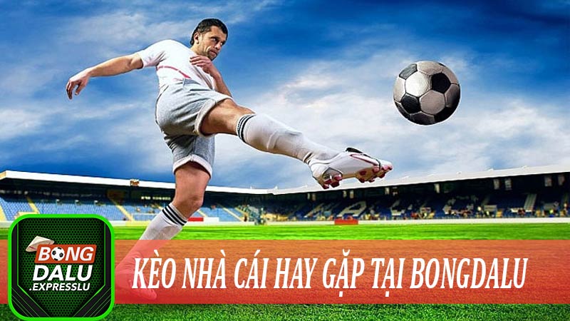 Kèo nhà cái hay gặp tại bongdalu