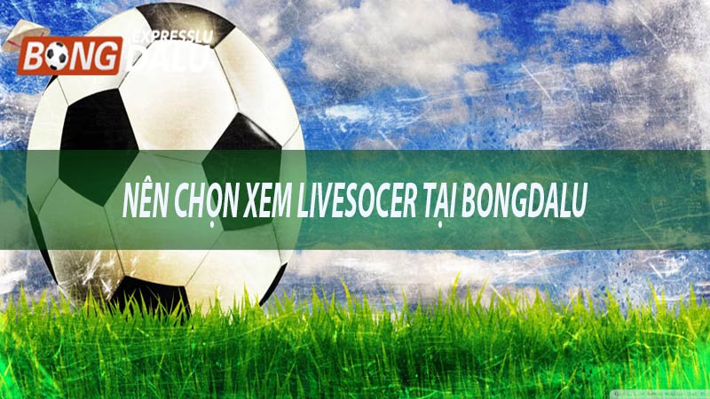 Nên chọn xem livesocer tại bongdalu